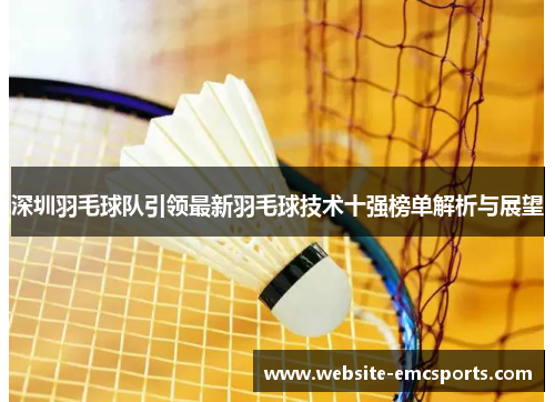 深圳羽毛球队引领最新羽毛球技术十强榜单解析与展望